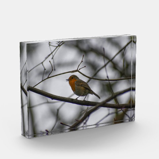 Robin  photo block (Left)