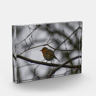Robin  photo block