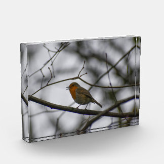 Robin  photo block