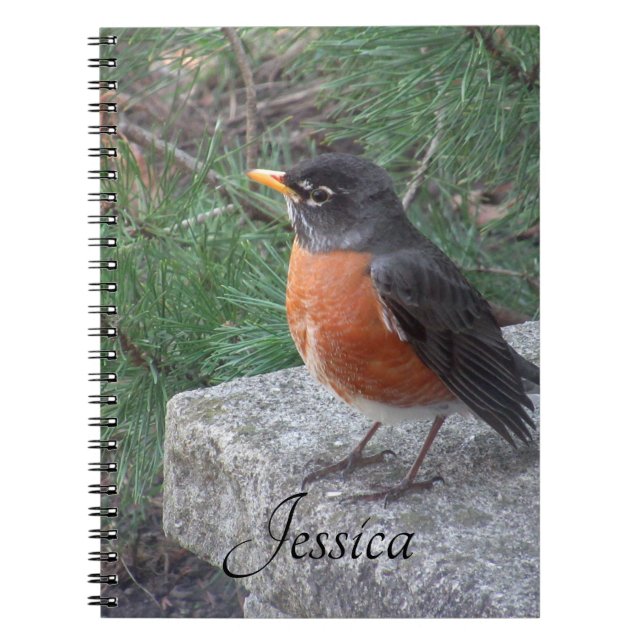 Robin Photo Personalised Handwritten Name  Notebook (Front)