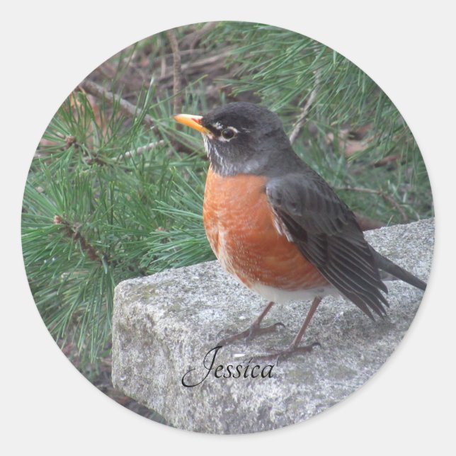 Robin Photo Personalised Name  Classic Round Sticker (Front)