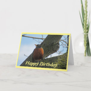 Robin Photography Birthday Card