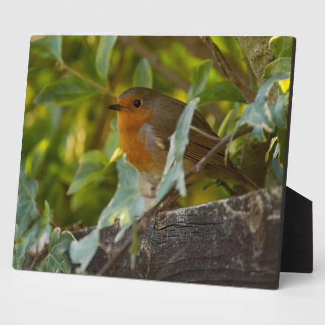 Robin Plaque (Side)