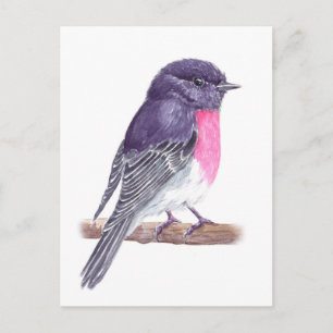 Robin Postcard