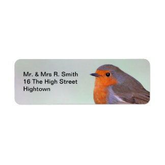 Robin Profile