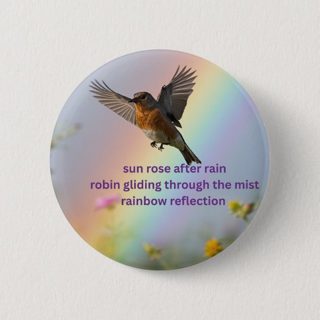 Robin Rainbow 6 Cm Round Badge (Front)