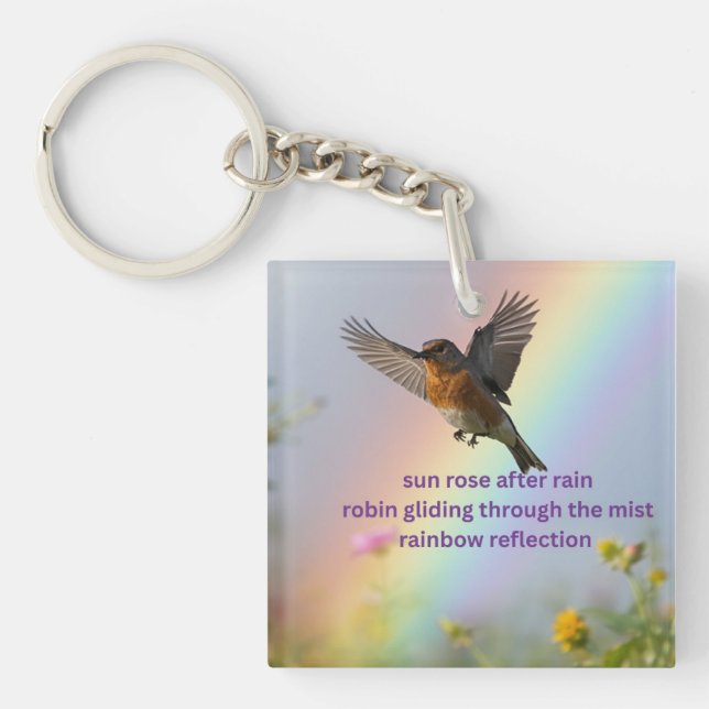 Robin Rainbow Key Ring (Front)