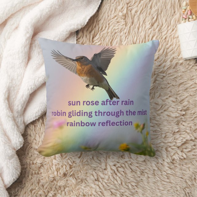 Robin Rainbow pillow (Blanket)