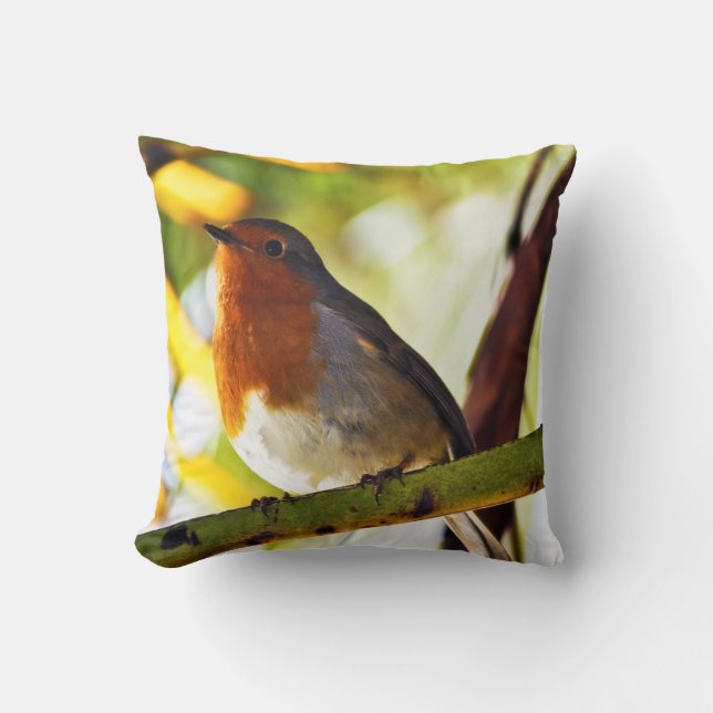 Robin red breast bird 2 cushion (Front)