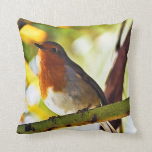 Robin red breast bird 2 cushion