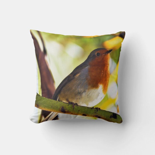 Robin red breast bird cushion (Front)