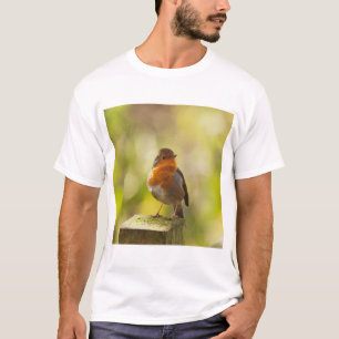 Robin red breast bird T-Shirt
