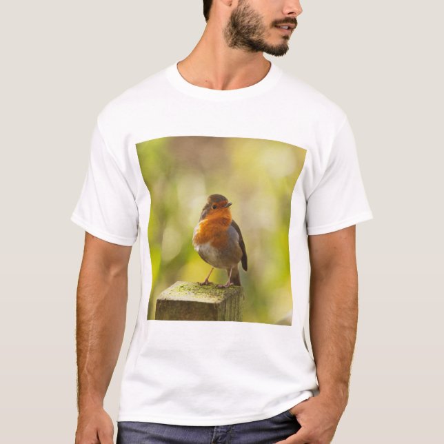Robin red breast bird T-Shirt (Front)