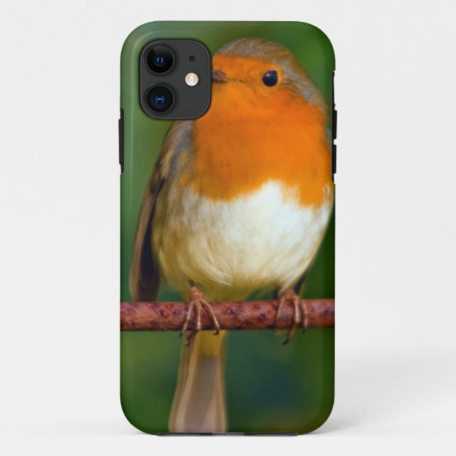 Robin Red Breast Case-Mate iPhone Case (Back)