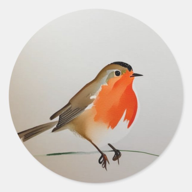 Robin red breast  classic round sticker (Front)