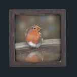 Robin Red Breast Enjoying a Bath Gift Box<br><div class="desc">Painted Robin design</div>