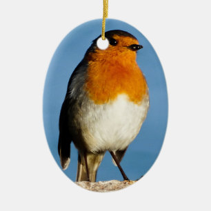 Robin red-breast for Oval Ornament