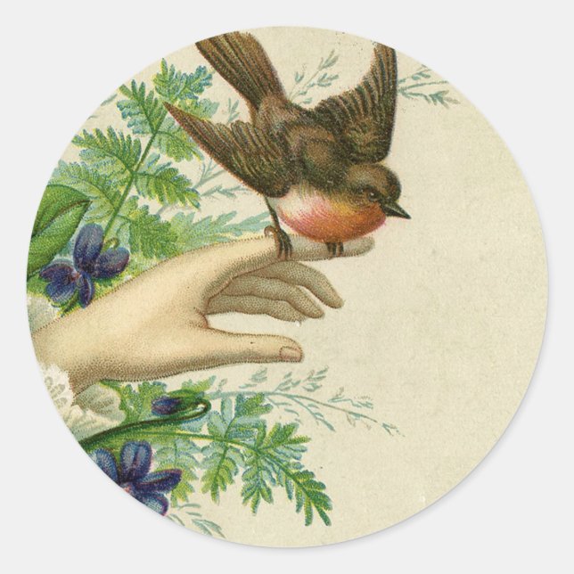 Robin red breast on hand classic round sticker (Front)