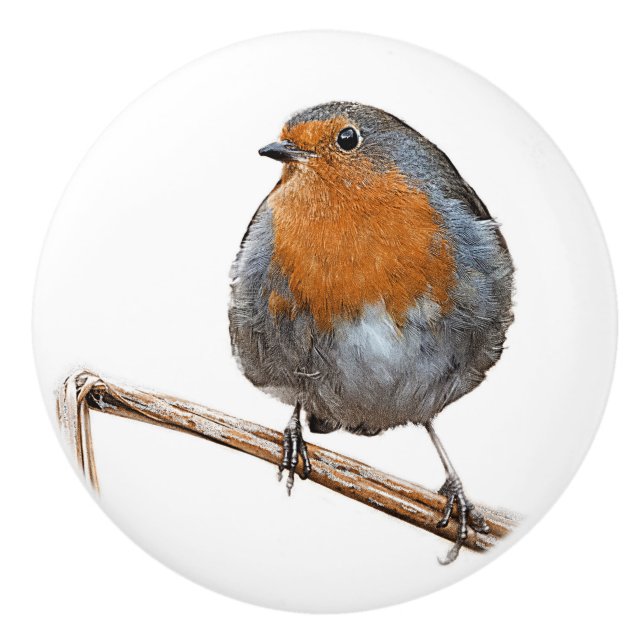 Robin red breast wildlife bird ceramic knob (Front)