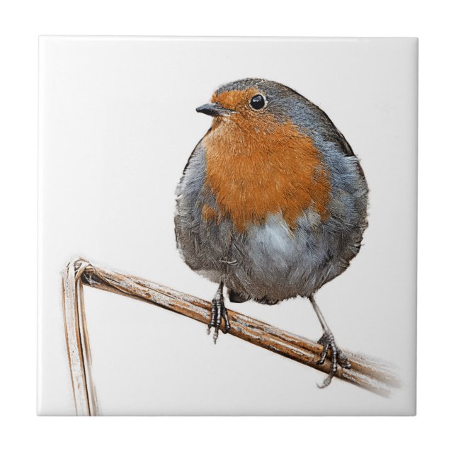 Robin red breast wildlife bird tile (Front)