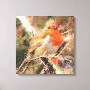 Robin Redbreast Canvas Print