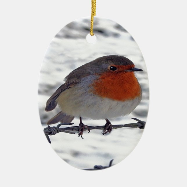 Robin Redbreast Ceramic Tree Decoration (Front)