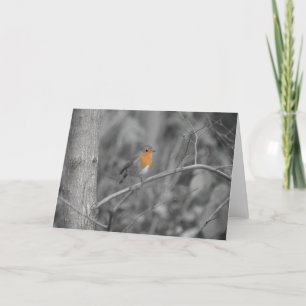 Robin Redbreast Christmas Card