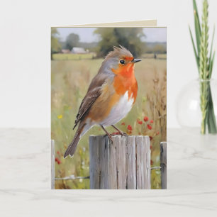  Robin Redbreast Greetings Card