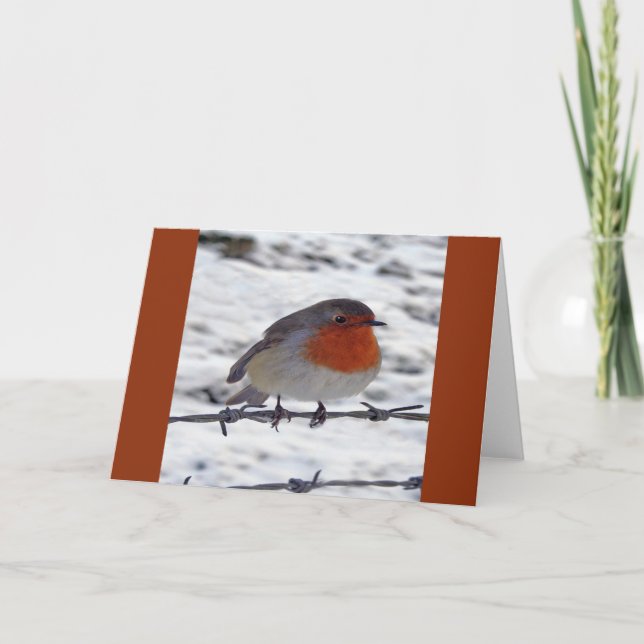 Robin Redbreast Holiday Card (Front)