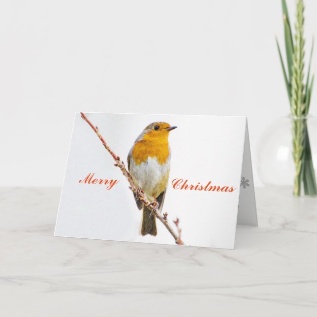 Robin Redbreast. Holiday Card (Front)