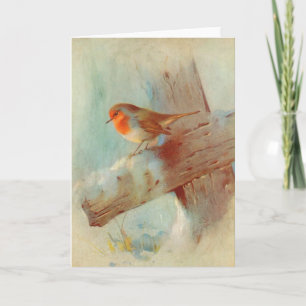 Robin redbreast holiday card