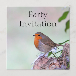 Robin Redbreast Invitation
