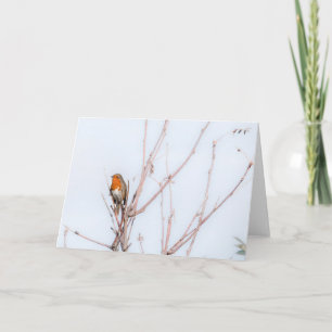 Robin Redbreast Note  Card