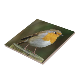 Robin Redbreast Tile