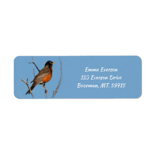 Robin Return Address