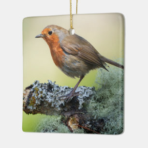 Robin’s Woodland Perch Ceramic Ornament