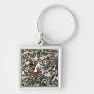 robin sheltering in a holly tree after a snow key ring