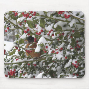 robin sheltering in a holly tree after a snow mouse mat