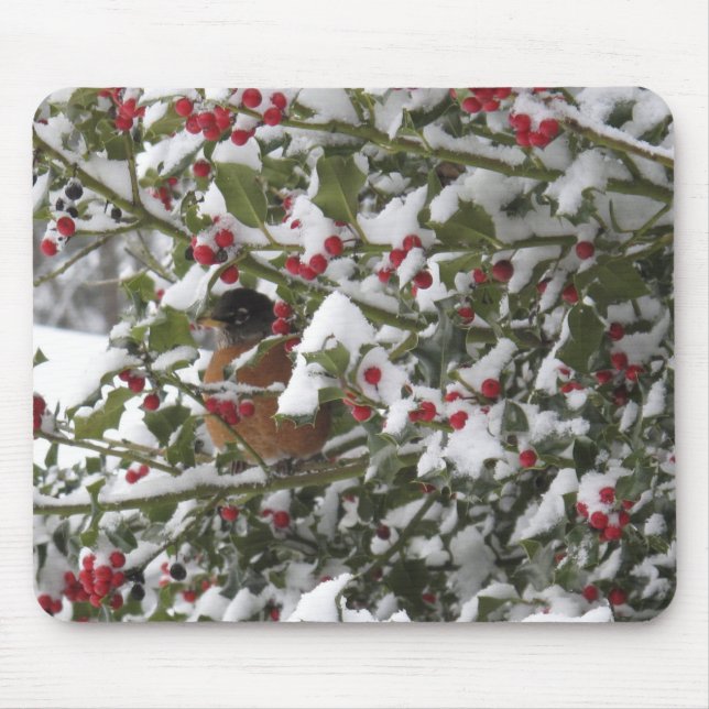 robin sheltering in a holly tree after a snow mouse mat (Front)