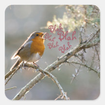Robin singing in a tree