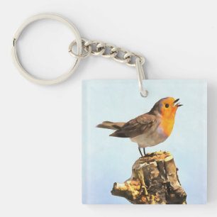 Robin singing key ring