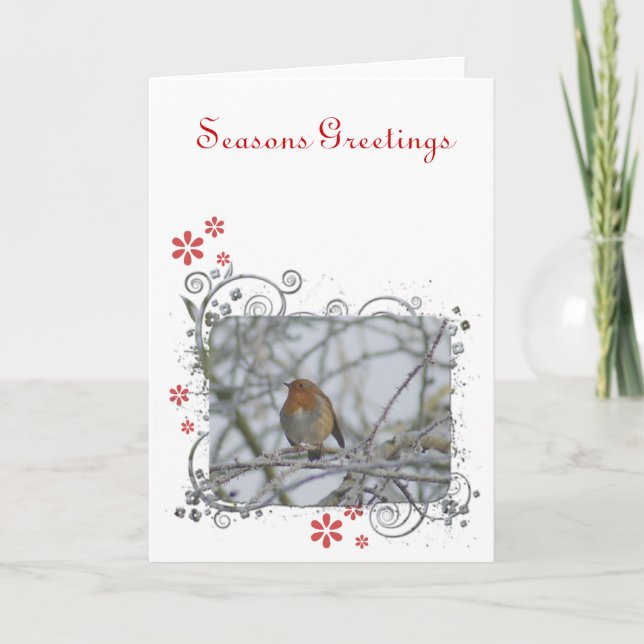 Robin sitting on briar holiday card (Front)