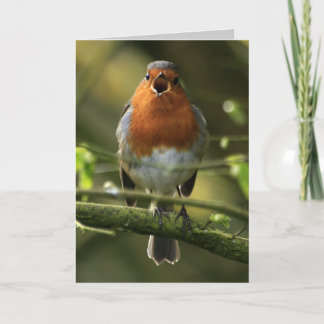 Robin Song Card