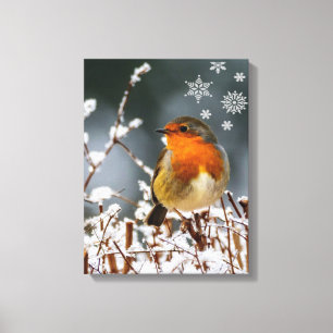 Robin Songbird  with Snowflakes Canvas Print