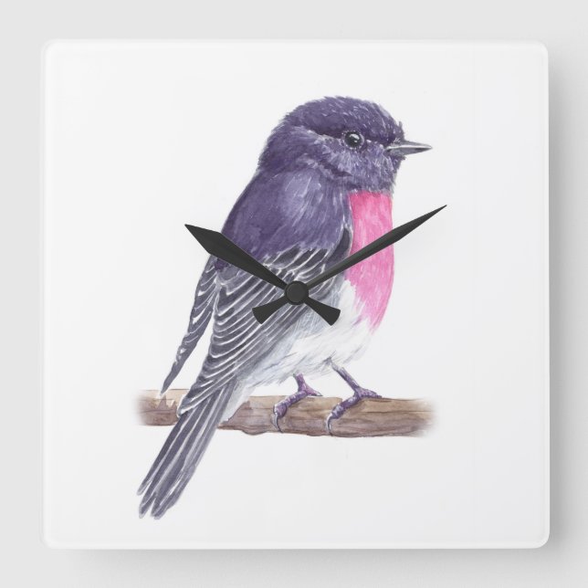 Robin Square Wall Clock (Front)