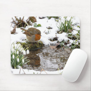 Robin Staring at its Reflection in Puddle Mouse Mat
