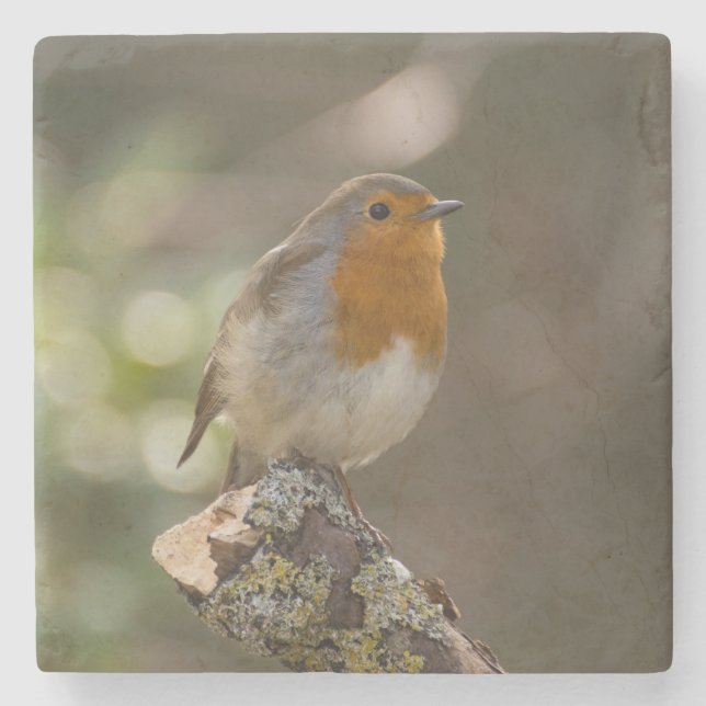 Robin Stone Coaster (Front)