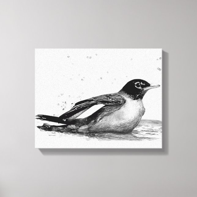 Robin Taking a Bath Canvas Print (Front)