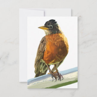 Robin Thank You Card