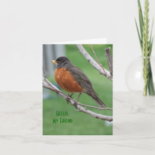 Robin, Thinkin" of You, Cheer Card